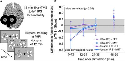 Prolonged Neuromodulation of Cortical Networks Following Low-Frequency rTMS and Its Potential for Clinical Interventions